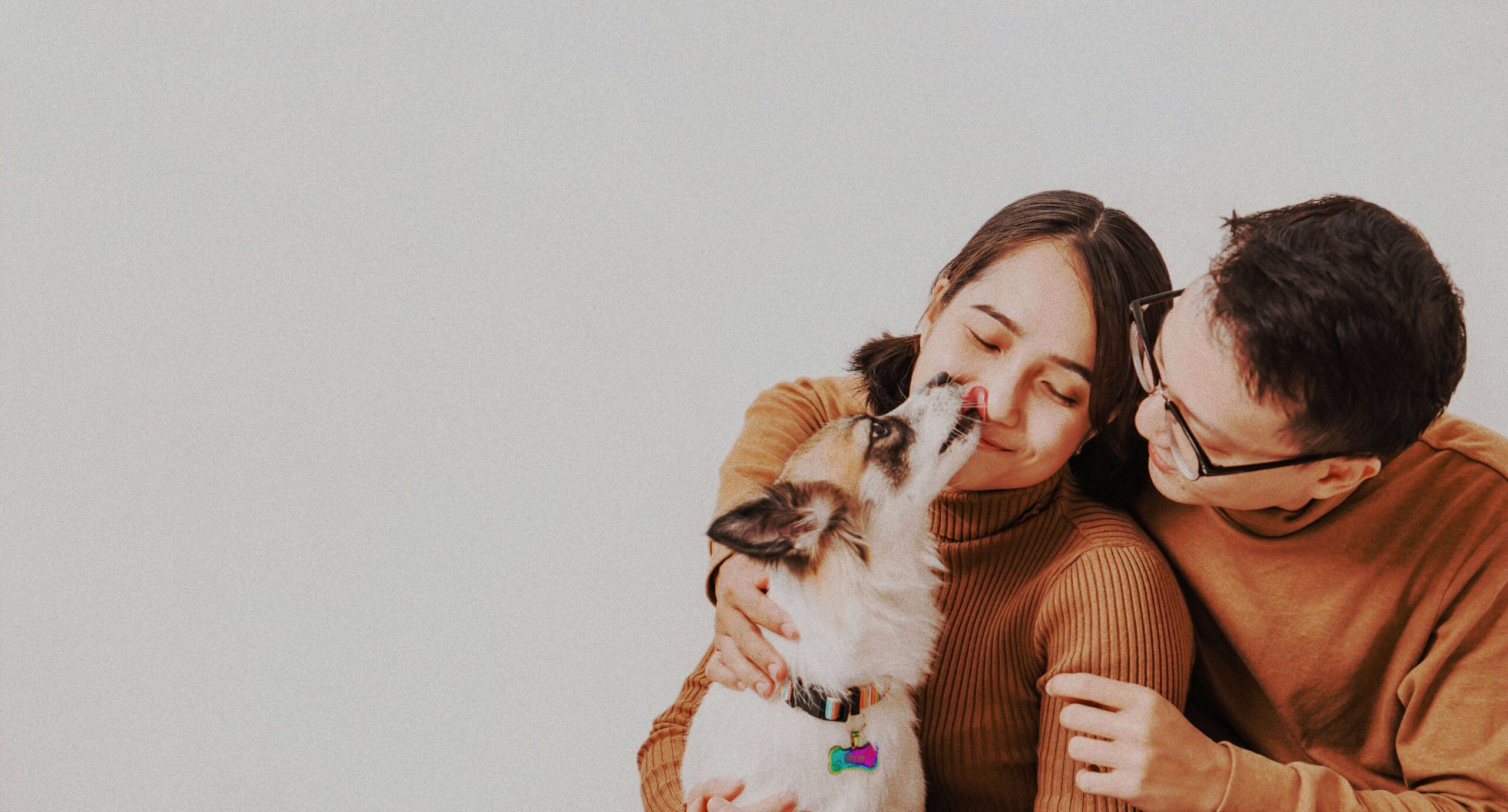 Pet Care 2