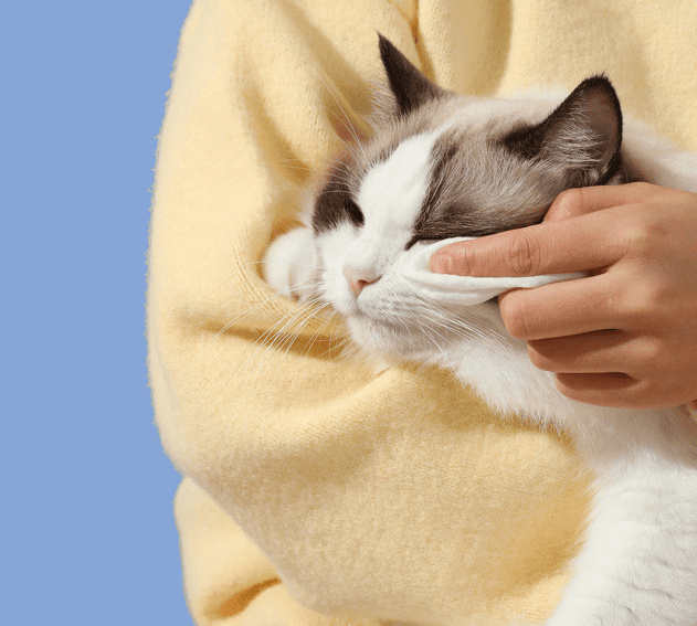 Deodorizing Pet Wipes